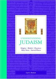Cover of: Understanding Judaism: Origins, Beliefs, Practices, Holy Texts, Sacred Places