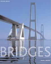 Bridges by David J. Brown