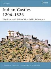 Cover of: Indian Castles 1206-1526: The Rise and Fall of the Delhi Sultanate (Fortress)