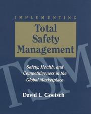 Cover of: Implementing total safety management: safety, health, and competitiveness in the global marketplace