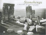 Stonehenge by Julian Richards