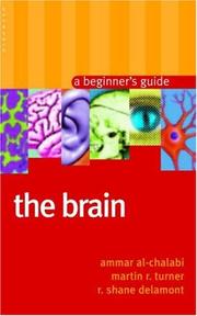 Cover of: The Brain: A Beginner's Guide