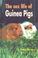 Cover of: The Sex Life of Guinea Pigs