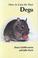 Cover of: How to Care for Your Degu (Your First...series)