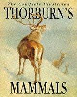 Thorburn's Mammals by Archibald Thorburn