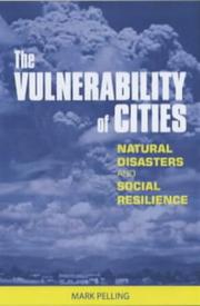 The Vulnerability of Cities cover