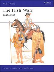 Cover of: The Irish Wars 1485-1603