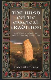 Cover of: The Irish Celtic magical tradition by Steve Blamires