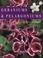 Cover of: Geraniums and Pelargoniums
