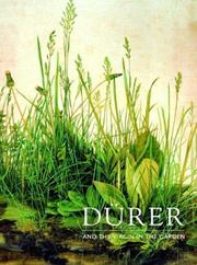 Cover of: Durer and the Virgin in the Garden (National Gallery London Publications)