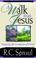 Cover of: A Walk with Jesus