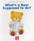 Cover of: What's a Bear Supposed to Do? (Toddlers' First Stories)