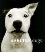 Cover of: Shelter Dogs by Traer Scott