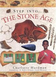 Cover of: The Stone Age by Charlotte Hurdman