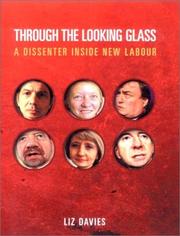 Cover of: Through the looking glass: a dissenter inside New Labour