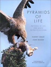 Cover of: PYRAMIDS OF LIFE. by 