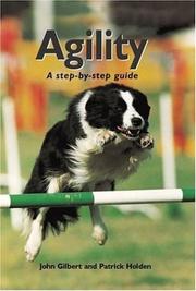 Cover of: Agility by Patrick Holden, John Gilbert