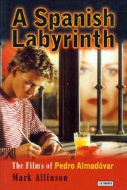 Cover of: A Spanish labyrinth by Mark Allinson, Mark Allinson