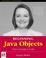 Cover of: Beginning Java objects