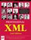 Cover of: Professional XML