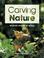 Cover of: Carving nature