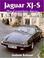 Cover of: Jaguar XJS