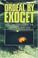 Cover of: Ordeal by Exocet