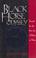 Cover of: Black horse odyssey