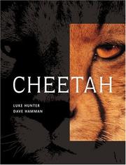 Cover of: Cheetah by Luke Hunter