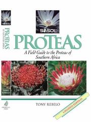 SASOL Proteas by Tony Rebelo