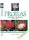 Cover of: SASOL Proteas