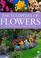 Cover of: Encyclopedia of Flowers