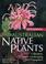 Cover of: Australian Native Plants