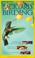 Cover of: Backyard Birding (Nature Companion Series)