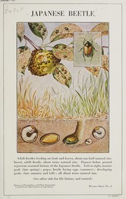 Cover of: Japanese beetle by United States. Bureau of Entomology and Plant Quarantine