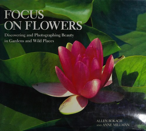 Focus on flowers by Allen Rokach