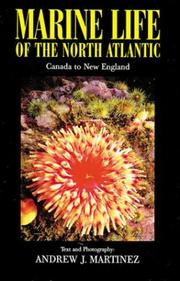 Cover of: Marine life of the North Atlantic by Andrew J. Martinez