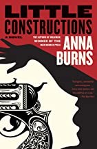 Cover of: Little constructions : a novel