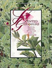 Scented geraniums by Becker, Jim