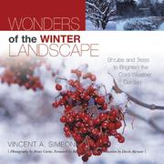 Wonders of the winter landscape by Vincent A. Simeone