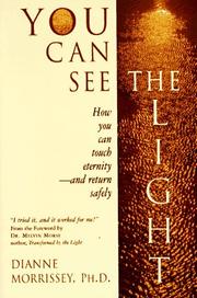 Cover of: You Can See the Light: How You Can Touch Eternity - And Return Safely