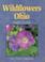 Cover of: Wildflowers of Ohio Field Guide (Field Guides)