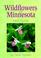 Cover of: Wildflowers of Minnesota