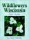 Cover of: Wildflowers Of Wisconsin
