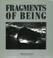 Cover of: Fragments of being