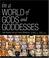 Cover of: In a World of Gods and Goddesses