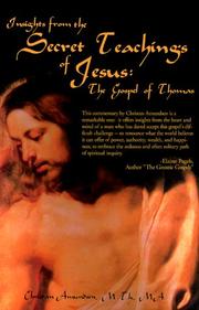 Insights from the Secret Teachings of Jesus by Christian D. Amundsen