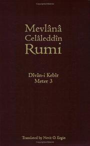Cover of: Divan-I-Kebir Meter 3 by Rumi (Jalāl ad-Dīn Muḥammad Balkhī)