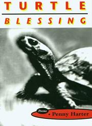 Cover of: Turtle blessing by Penny Harter