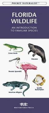 Cover of: Florida Wildlife: An Introduction to Familiar Species (Pocket Naturalist)